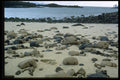 459005 Stones On The Beach Of The Galapagos Islands, Ecuador A4 Photo Print