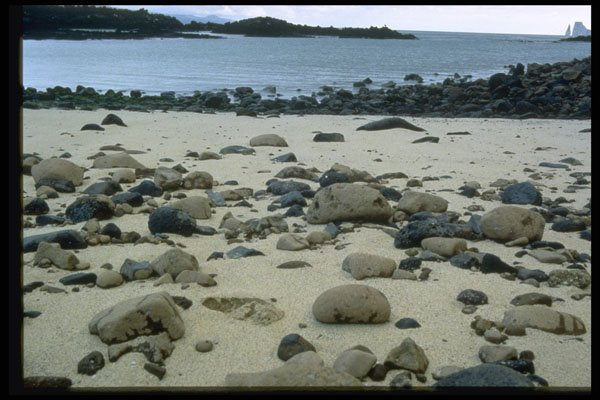 459005 Stones On The Beach Of The Galapagos Islands, Ecuador A4 Photo Print