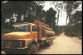 459034 Logging Truck In The Amazon, Paragominas, Para, Brazil A4 Photo Print