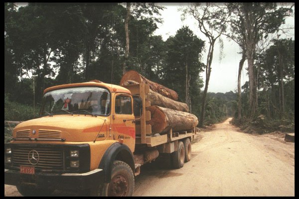 459034 Logging Truck In The Amazon, Paragominas, Para, Brazil A4 Photo Print