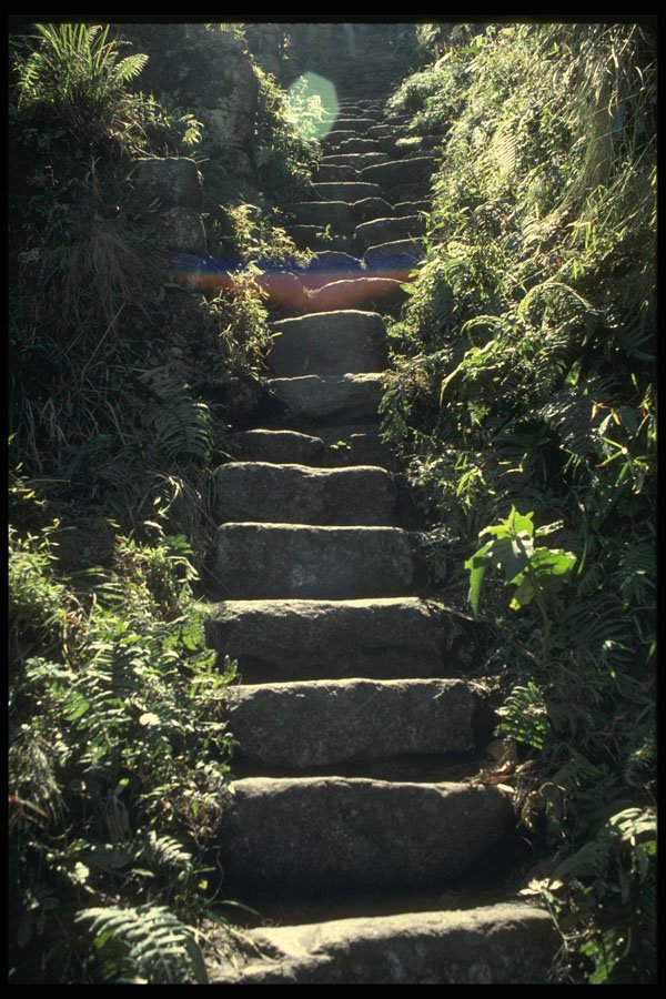 459054 Machu Picchu, Steps On Wynapicchu, Peru A4 Photo Print