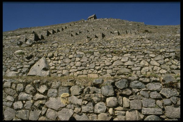 459056 Machu Picchu, Agricultural Terracing, Peru A4 Photo Print