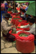 459067 Coco Leaf Vendors, Peru A4 Photo Print