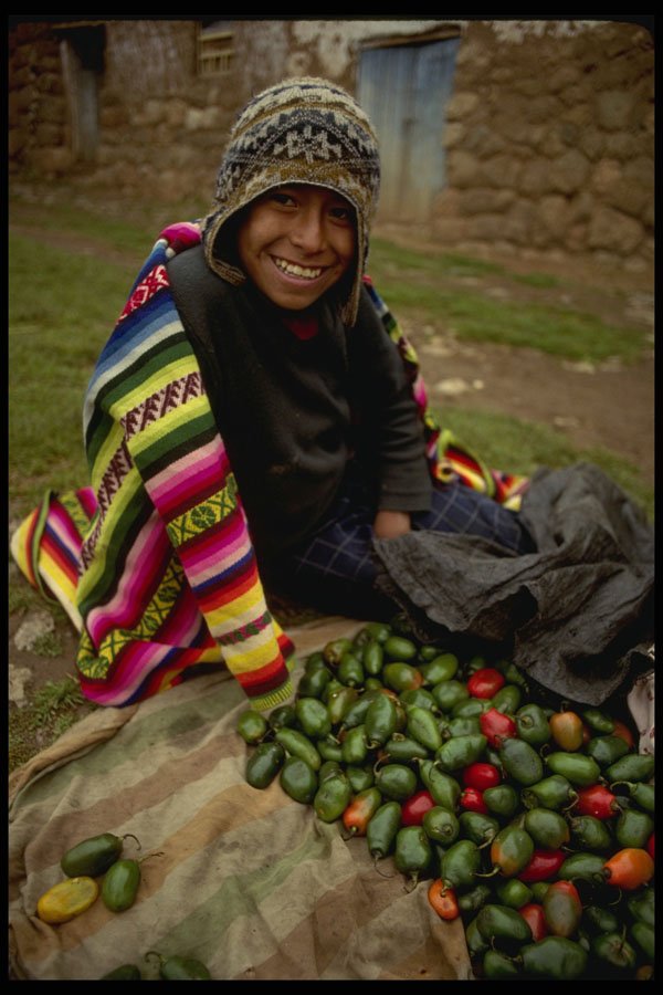 459074 Chincheros, Local Indian Market place Salesboy, Peru A4 Photo Print