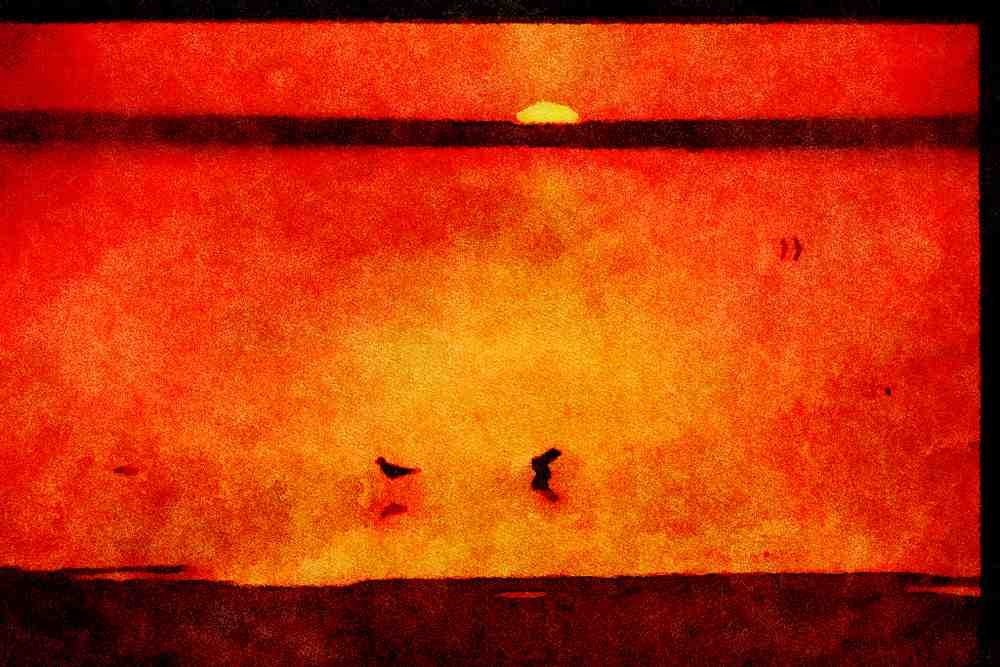 460003 Sunset, Mopipi A4 Limited Edition Watercolour Print