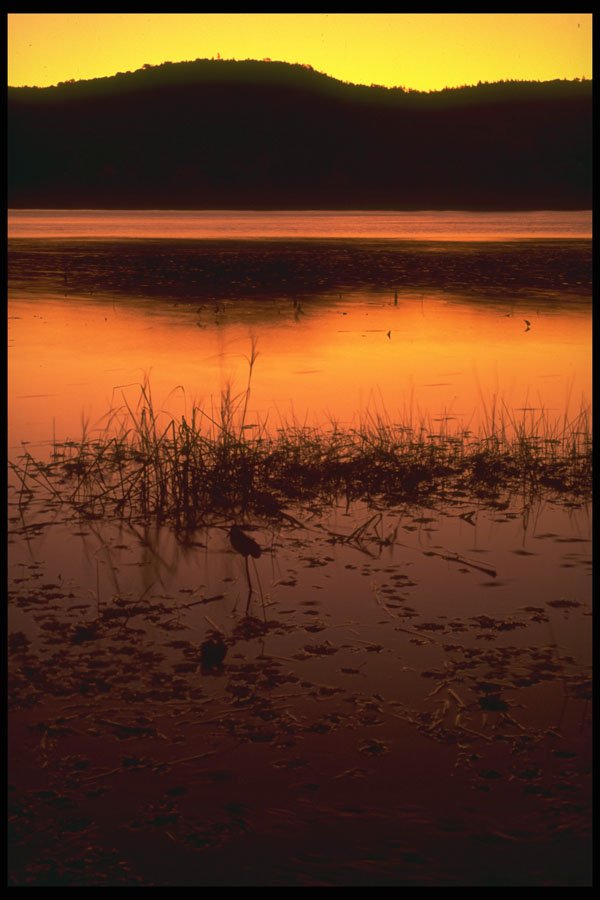 460016 Sunrise Colors A4 Photo Print