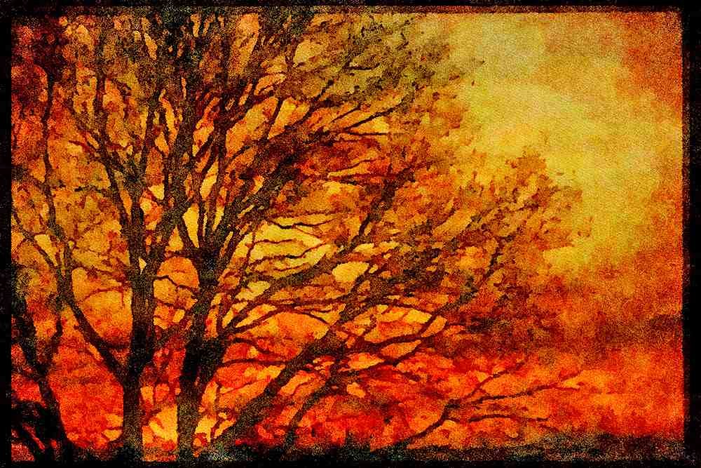 460019 Sunset A4 Limited Edition Watercolour Print