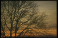 460019 Sunset A4 Photo Print