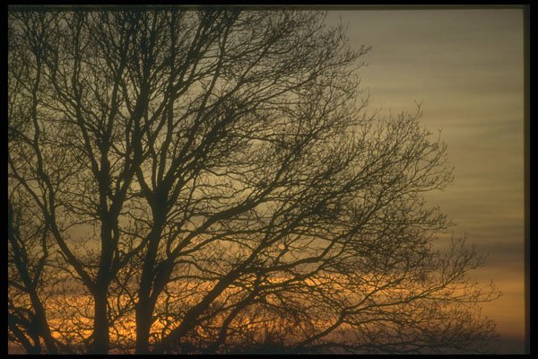 460019 Sunset A4 Photo Print