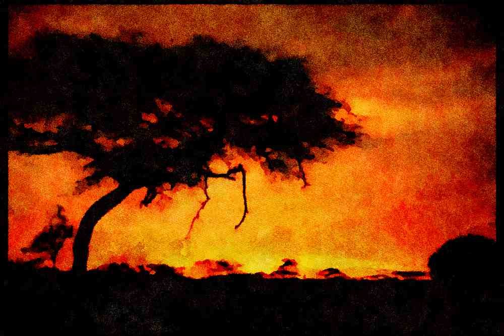 460023 Acacia Tree At Sunset, Kenya A4 Limited Edition Watercolour Print