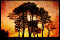 460030 Seven Sisters, Quantocks, Som A4 Limited Edition Watercolour Print