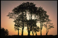 460030 Seven Sisters, Quantocks, Som A4 Photo Print