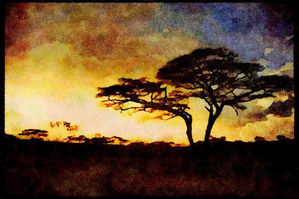 460031 Silhouette At Sunset, Buffalo Springs, Kenya A4 Limited Edition Watercolour Print