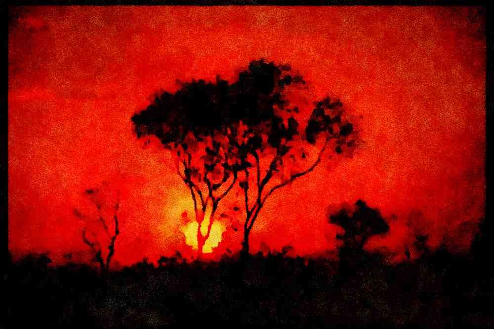 460036 Tree And Sun, Australian Outback A4 Limited Edition Watercolour Print