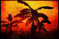 460042 Chitwan Sunset, Nepal A4 Limited Edition Watercolour Print