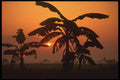 460042 Chitwan Sunset, Nepal A4 Photo Print