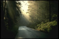 460049 Early Morning In Alsace A4 Photo Print