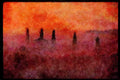 460051 Mist Rising At Daybreak, Waitomo, New Zealand A4 Limited Edition Watercolour Print