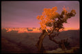 460069 Sunset, Monument Valley, Utah A4 Photo Print