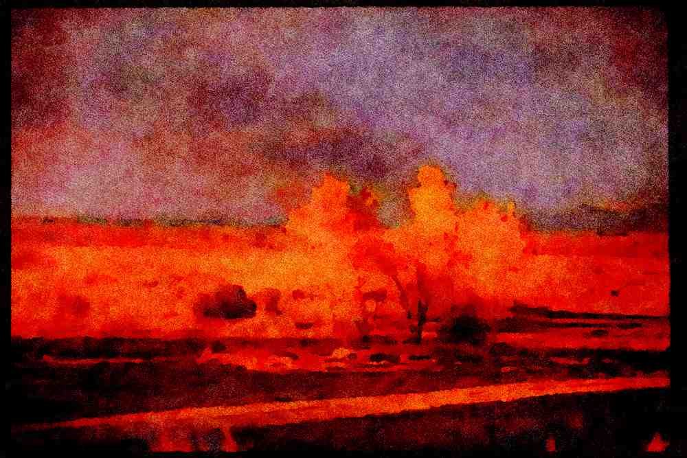 460081 Sunset's Bright Light On Grove Of Trees A4 Limited Edition Watercolour Print