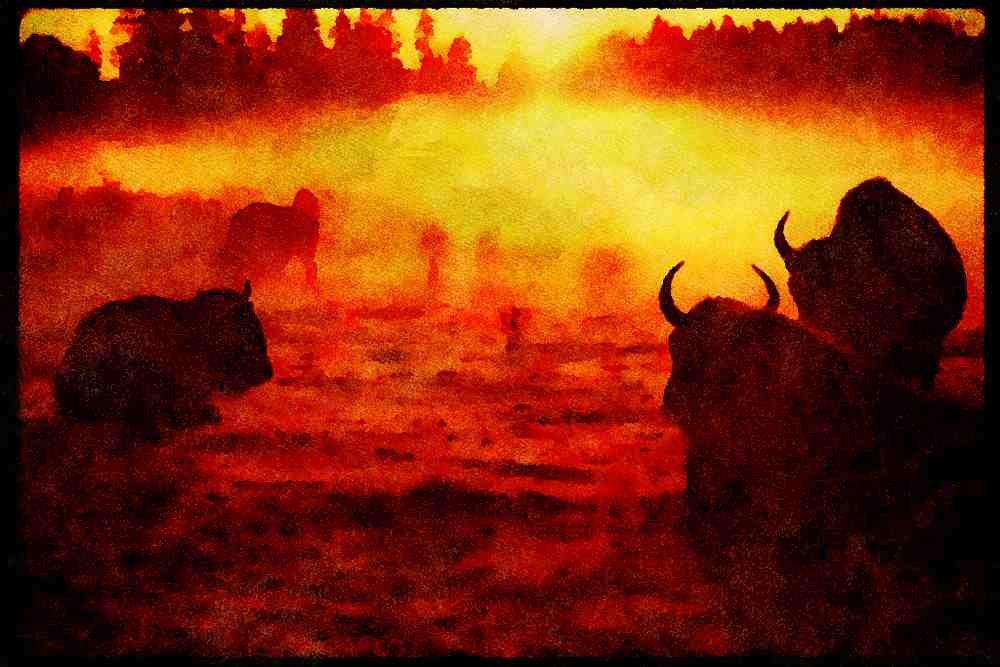 460099 Buffalo, Sunrise And Fog, Washington State A4 Limited Edition Watercolour Print