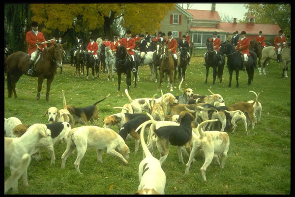 462006 Caledon Hunt Club's Annual Fox Hunt, Near Toronto A4 Photo Print
