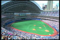 462026 Skydome A4 Photo Print