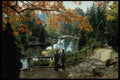 462058 High Park A4 Photo Print
