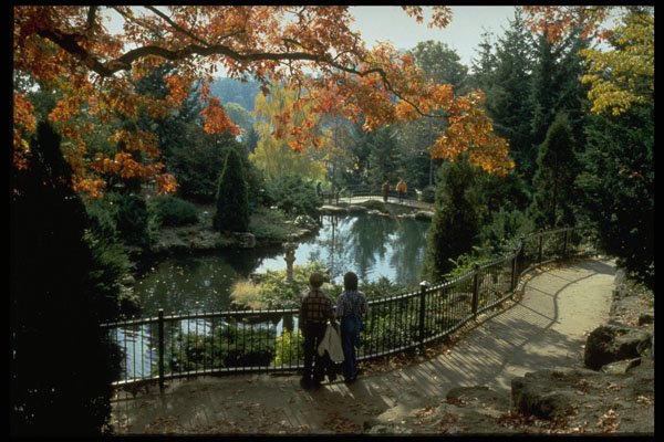 462058 High Park A4 Photo Print