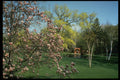 462059 James Gardens A4 Photo Print