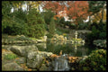 462061 High Park A4 Photo Print