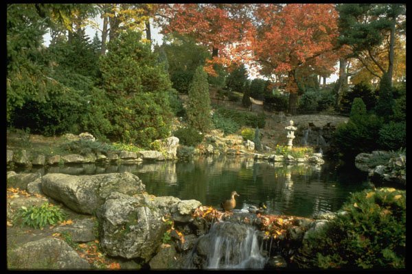 462061 High Park A4 Photo Print
