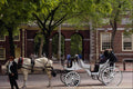 463013 Horse drawn carriage, Independence National Historic Park A4 Photo Print