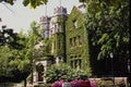 463039 Ivy covered Walls Of The Castle  A4 Photo Print