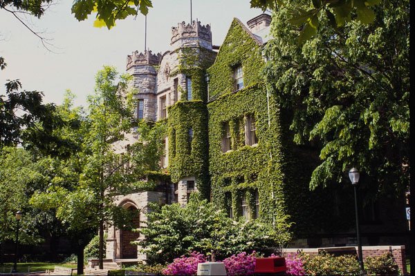 463039 Ivy covered Walls Of The Castle  A4 Photo Print
