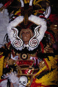 463042 Mummer's Flamboyant Costume A4 Photo Print