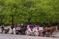 463054 Horse powered Vehicles, Independence Mall A4 Photo Print