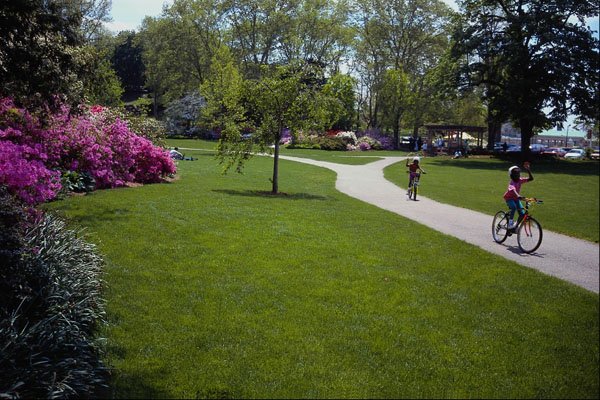 463055 Young Cyclists Enjoy Azalea Garden A4 Photo Print