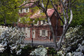 463071 View From Azalea Garden, Society Hill Garden A4 Photo Print
