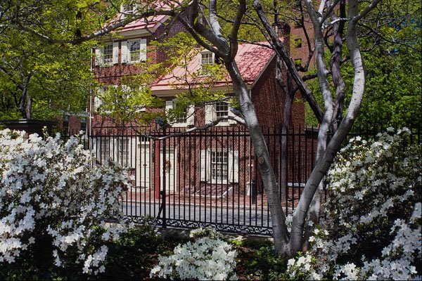 463071 View From Azalea Garden, Society Hill Garden A4 Photo Print