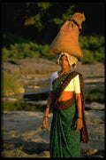 464085 Carrying Fresh Grain To Market, India A4 Photo Print