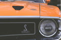 465004 1969 Ford Mustang Shelby GT 350 A4 Photo Print