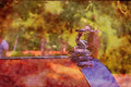 465035 1929 Pierce Arrow A4 Limited Edition Watercolour Print