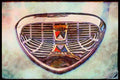 465057 Chrome Ford Emblem A4 Limited Edition Watercolour Print