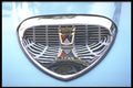 465057 Chrome Ford Emblem A4 Photo Print