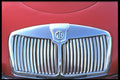 465058 MG Grill A4 Photo Print