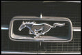 465059 Silver Mustang Emblem A4 Photo Print