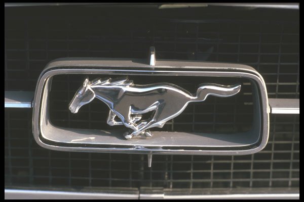 465059 Silver Mustang Emblem A4 Photo Print