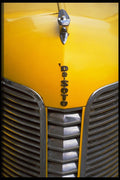 465076 Desota Grille A4 Photo Print