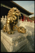 466007 Golden Bronze Lion Statue, Beijing A4 Photo Print